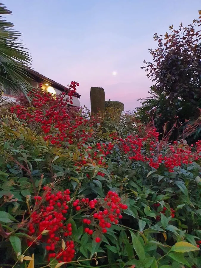 B&B Corte Delle Rose Castiglione Delle Stiviere
